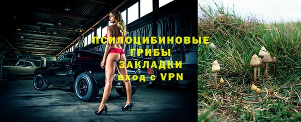 a pvp Каменск-Шахтинский