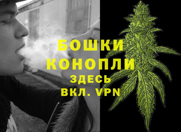 каннабис Каменногорск