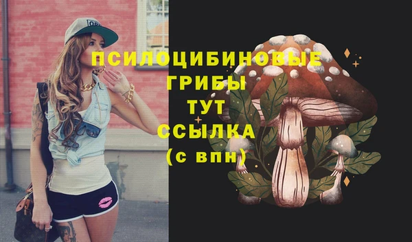 MDMA Premium VHQ Каменка