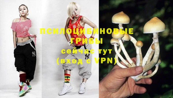 MDMA Premium VHQ Каменка