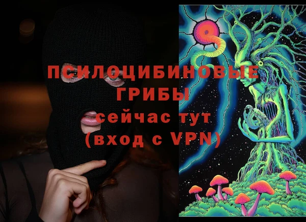 MDMA Premium VHQ Каменка