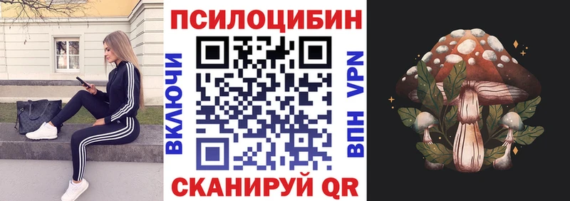 Купить где  Емва  Псилоцибиновые грибы ЛСД 